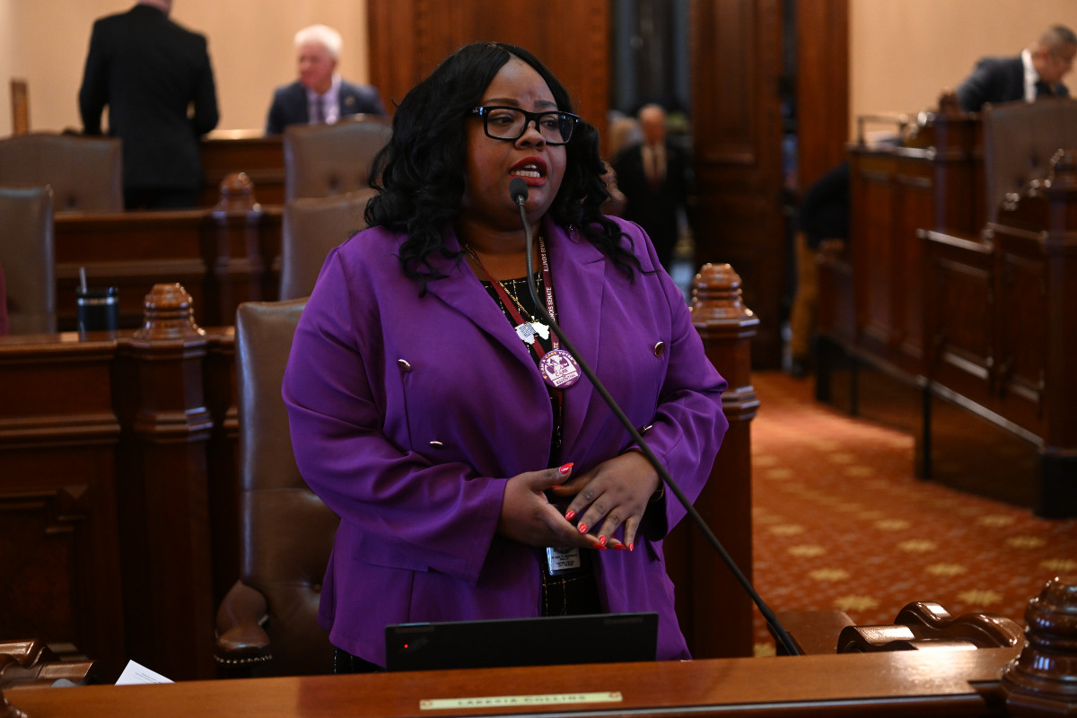 State Senator Lakesia Collins - HB 4534